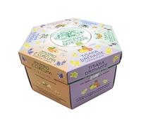 Sweet Herbs | Collection Naturelle Bien-être | Coffret Cadeau Tisane Bio Assorties 6 Saveurs Myrtille Mandarine Fenouil Grenade - 60 Sachets | Infusions Bio Sans Caféine