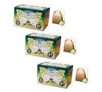Sweet Herbs® | Tisane de pin de montagne Eucalyptus Thym Menthe | Infusion Bio Calmante et Rafraîchissante - 3 x 20 Filtres en Sachets Individuels (60 Gr)