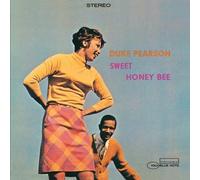 Sweet Honey Bee