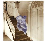 Sweet John Bloom - Weird Prayer [Vinyl] Black, Poster, Digital Download