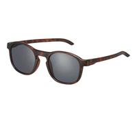 Sweet Protection - Heat - Lunettes de soleil Matte Crystal Tortoise - Obsidian Black