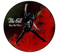 SWEET SOUL SISTER 12" SINGLE UK BEGGARS BANQUET 1989 2 TRACK ROCKS MIX B/W SOUL ASYLUM LIVE (BEG241TR) PIC SLEEVE