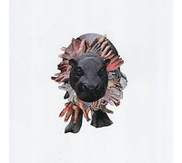 Sweet Williams - Please Let Me Sleep on Your Tonight [Import]