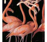 Sweet Williams - What's Wrong with You [Vinyl] [Import]