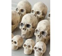 Sweetfanaberia | Décoration de gâteau SKULL XXL - 8 cm - Figurine en chocolat - Décoration Halloween
