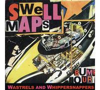Swell Maps - Wastrels and..