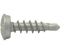 SWG 211651925 Vis pour plaques minéralogiques 5 mm 19 mm cruciforme acier galvanisé 100 pc(s)