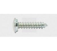 SWG 4009146163606 Vis pour plaques minéralogiques 4.8 mm 16 mm cruciforme acier galvanisé 100 pc(s)