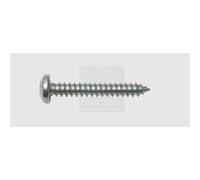 SWG Lot de 100 vis à tôle Phillips DIN 7981 en acier galvanisé 3,5 mm 9,5 mm