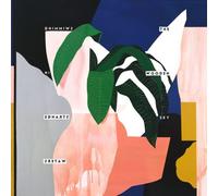 Swimming In Strange Waters by The Wooden Sky [Audio CD] NEUF