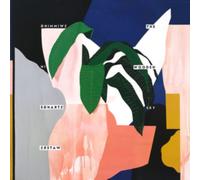 Swimming in Strange Waters/MP3/Poster Inclus