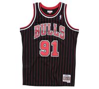 Swingman Mesh Jersey Chicago Bulls 1995-96 Dennis Rodman