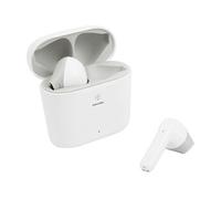 Swingson Buds White