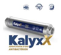 Réducteur de tartre IPS KalyxX BlueLine G 1/2 " femelle (IPSKXBG12)