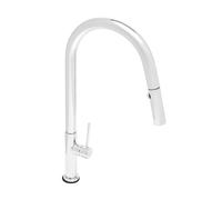 Swiss Aqua Technologies - mitigeur monocommande avec douchette extractible et bras pivotant, 2 jets, Chrome (SATBSD288)
