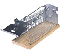 Piège à insectes Swissinno 1 584 001 pour l'intérieur/extérieur