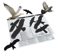 SWISSINNO Autocollants Anti-Collision Oiseaux - Lot de 5 Silhouettes - Protection Vitres Transparente - Prévention des Chocs sur Fenêtres et Baies Vitrées - Résistant UV