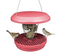 SWISSINNO Mangeoire à Oiseaux Extérieur - Distributeur de Boules de Graisse pour Petit Oiseaux - Anti-Rats et Anti-Souris - Lucerne Smart Birds - Porte-Boules de Graisse - Rose poussiéreux