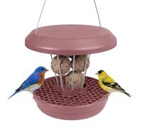 SWISSINNO Mangeoire à Oiseaux Extérieur - Distributeur de Boules de Graisse pour Petit Oiseaux - Anti-Rats et Anti-Souris - Lucerne Smart Birds - Porte-Boules de Graisse - Rose poussiéreux