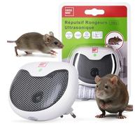 Dispositif anti-nuisibles à ultrason Swissinno 1 240 001 pour lintérieur