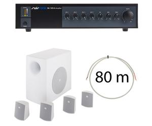 Swissonic Swissonic JBL Control 50 WH Bar Bundle