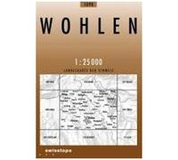 Swisstopo 1 : 25 000 Wohlen