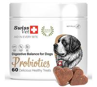 SwissVet Probiotique Chien - 60 Bouchées Flore Intestinale & Digestion - Prébiotiques (Inuline) & Bacillus Velezensis - Anti Diarrhée, Gaz & Ballonnements - Immunité & Transit Sain