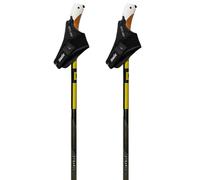 Swix Bâtons Dynamic D3