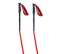 Swix Bâtons World Cup Pro Donwhill