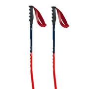 Swix Bâtons World Cup Pro Super-g
