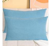 SWJ-swjssb Taies d'oreiller en Velours Côtelé Élastique - Lot De 2, Housse De Coussin Canapé Zip Invisible,Carré/Rectangulaire, Doux/Respirant, Lavable - sans Âme(Mist Blue,30x60 cm Set of 2)
