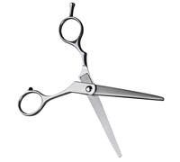 SWOOMEY Ciseaux à cheveux robustes Ergonomique Vis Supérieure Amortisseur pour Coupe Précise et Flexible en Acier Inoxydable argent pour design various hairdressing
