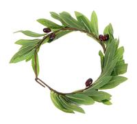 SWOOMEY Couronne D'olivier en Tissu Vert, Accessoire Cheveux Mariage Champêtre Léger et Confortable, Bandeau Stylé pour Cosplay et Carnaval