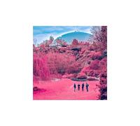The Zolas – Swooner