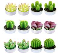 Swpeet 12 pcs décoratifs Succulente Cactus Bougies kit, mignon sans fumée Bougies de plantes artificielles Idéal pour festival Mariage Props et House-warming Party (N0.3-candle)