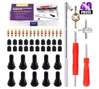 Swpeet Lot de 40 outils extracteurs de tiges de valve de pneu avec tiges de valve à encliqueter avec noyaux de tiges de valve, clé de retrait de noyau de valve à double tête, extracteur de noyau de