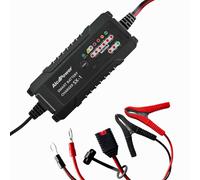 SX-1 Chargeur Professionnel Voiture SMART 6V Et 12V Plomb Et LiFePO4 Avec App