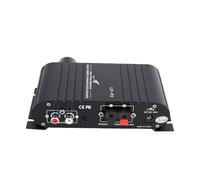Sxhlseller Amplificateur de Caisson de Basses Mono 100 W, Audio Double | Booster Monobloc Compact, Amateurs de Cinéma Maison, Boîtier en Alliage D'aluminium, Mise à Niveau Passive