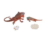 Sxhlseller Ensemble de 4 Modèles de Cycle de Vie d'iguane |Figurines d'animaux Réalistes en Plastique PVC pour l'éducation Précoce, Jouet du Cycle de Croissance des Tout-Petits