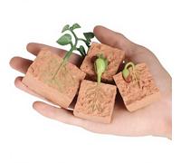 Sxhlseller Kit de Modèle de Croissance de Plantes de Haricots Verts, Jouets Scientifiques en Biologie, Jouets éducatifs pour Enfants, Ensemble de Figurines du Cycle de Vie avec étapes de Plantes