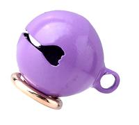 Sxhlseller Kit D'horloge à Collier pour Chien et Chat, avec Porte-clés, Assorti pour L'artisanat de Bricolage, Accessoires de sécurité en Plein Air (Purple #15)