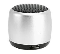 Sxhlseller Mini Haut-Parleur Bluetooth en Métal avec Caisson de Basses |BT 5.0 sans Fil Portable Rechargeable par USB, Appel Mains Libres pour Téléphone Tablette PC (Silver)