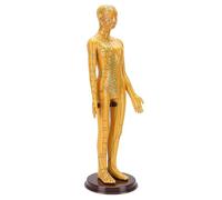 Sxhlseller Modèle d'Acupuncture, Modèle de Démonstration de Point d'Acupuncture Humain avec Bras Rotatifs et Tableaux de Méridiens Détaillés, pour la Formation en Acupuncture et l'éducation des