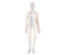 Sxhlseller Modèle de Point d'Acupuncture Humain, Modèle de Corps d'Acupuncture de 20,5 Pouces avec Bras Rotatifs et Base Stable pour Enseigner la Démonstration de Formation en Acupuncture aux