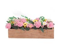 Sxhlseller Plante Miniature en Pot pour Maison de Poupée - Mini Plante Exquise - Bonsaï Kit de Bricolage 8,1 Cm sans Danger pour Les Enfants Convient pour Le Balcon de la Maison de Poupée, Le