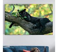 SXKJ Drôle Panthère Noire sur L'arbre Peinture sur Toile Mur Photos pour Enfants Chambre Mur Art Affiches Impressions Cuadros Décor À La Maison 30x50cm Sans Cadre