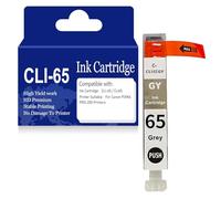 SXLXYOF Cartouche d'encre CLI-65 (BK C M Y PC PM GY LGY) CLI65 Cartouches d'encre Noir Cyan Jaune Magenta Haut rendement pour Canon PIXMA PRO-200,Ink Cartridge-C65GY