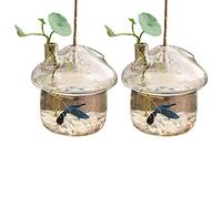 Sxmrmnx 2X en Forme De Champignon Verre Suspendu Vase Jardinière Gronder Aquarium Terrarium Conteneur Maison Décor De Jardin