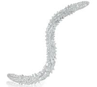 SXOVO Gode Anal Extra Long Gode Anal Fantaisie En Tpe Avec Picots Souples Stimulation du Point G et de La Prostate Bdsm Sexe ExtrêMe Extenseur Anal Transparent Sex Toy pour Hommes (L)