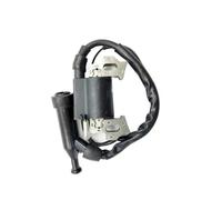 SxRakiO Bobine d'allumage for générateur Compatible avec Les modèles 168F, 168F1, 168F2, 168FD, 168FA, 168FB, GX110, GX140, GX160 et GX200 (5,5 CV, 6 Spires).